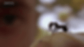 unnamed.gif