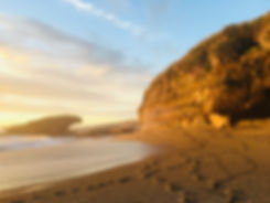 Adore 360 travel company