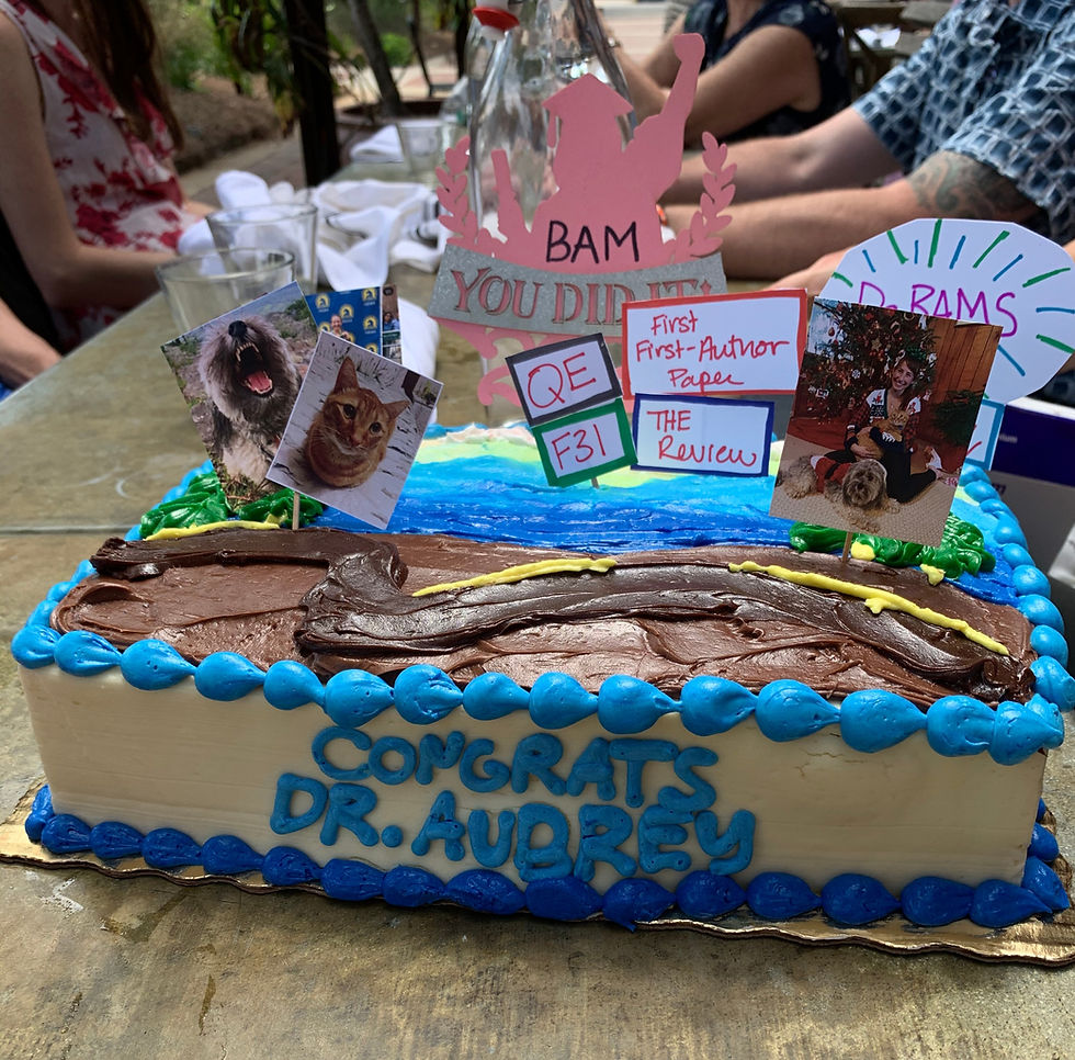Aubrey's "retirement" cake.