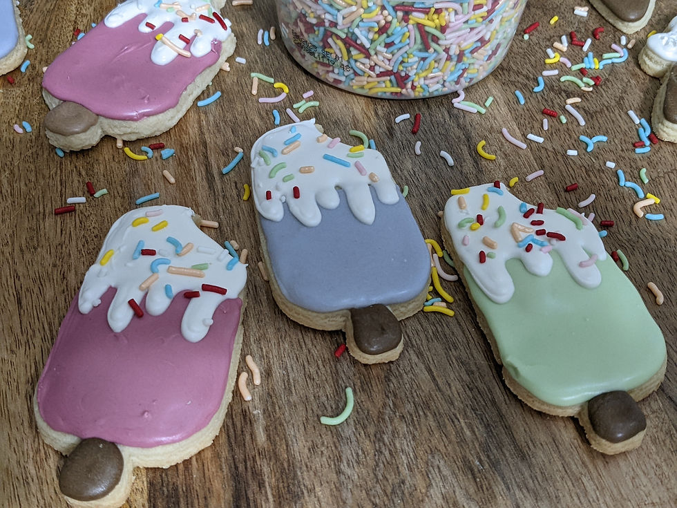 PXL_20230530_010648630.PORTRAIT