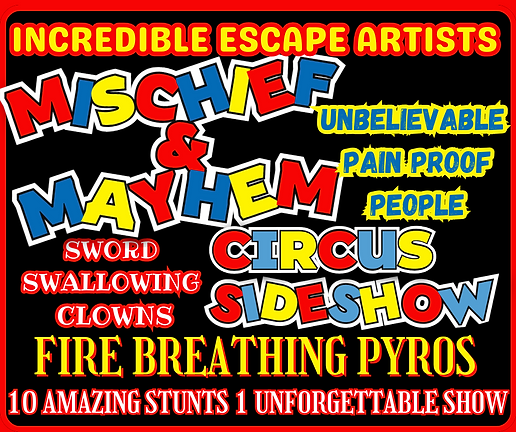 Types stunts that are performed inside the Mischief & Mayhem Circus Sideshow 10 in1