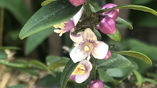 Mai au jardin 👩🏻‍🌾