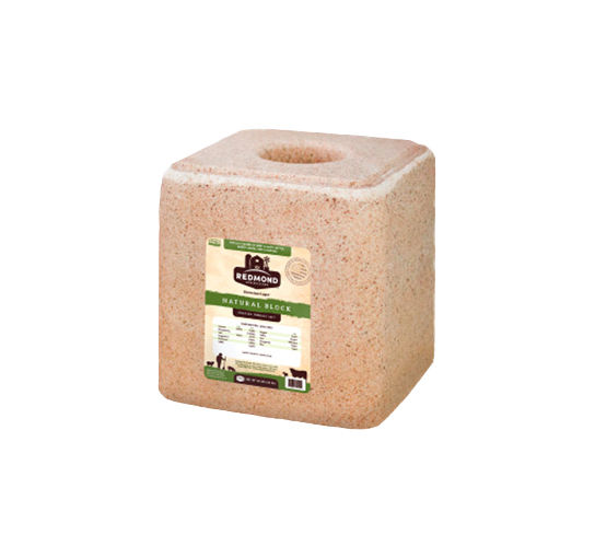 Redmond Natural Salt Block