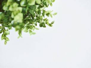 How Citrus Burn Can Transform Your Fitness Journey