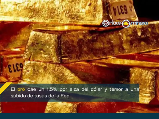 El oro cae un 1.5% por alza del dólar y temor a una subida de tasas de la Fed