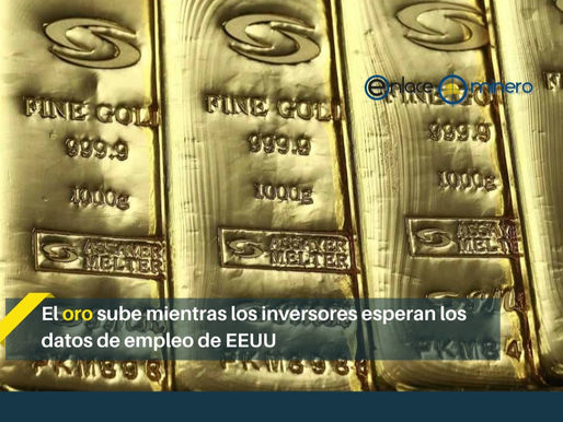 El oro sube mientras los inversores esperan los datos de empleo de EEUU