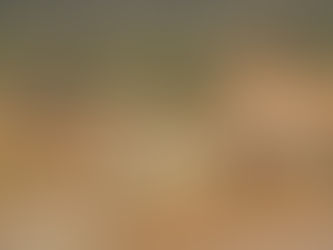 Great Panther revela nuevos resultados de perforación del depósito Urucum North propiedad de la mina