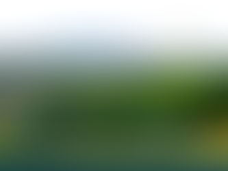 Grupo México dona 400 árboles para reforestar Bosques de Acaxochitlán