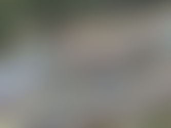 Great Panther anuncia resultados financieros no auditados del segundo trimestre.