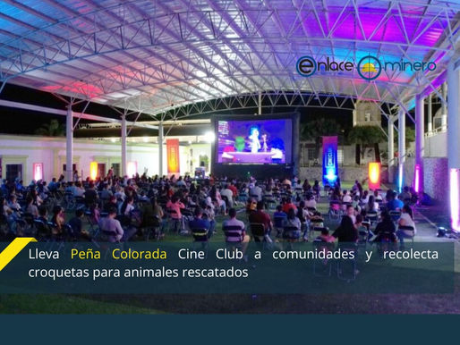 Lleva Peña Colorada Cine Club a comunidades y recolecta croquetas para animales rescatados