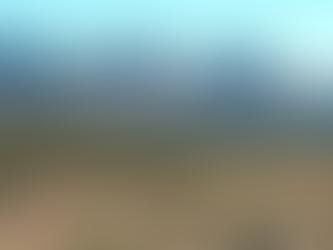 Sonoro Gold anuncia una colocación privada de 3 millones de dólares canadienses para Cerro Caliche