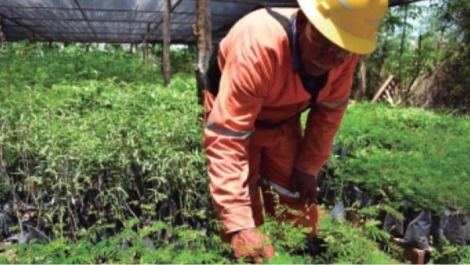 CIERRE Y REHABILITACIÓNDE MINAS:DESCUBRIENDOAHORROS OCULTOS MEDIANTEPLANEACIÓN CONTINUA YESTRATEGIAS