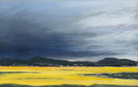 Fields of Gold ll 2.jpeg
