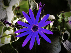 DSCN8647
