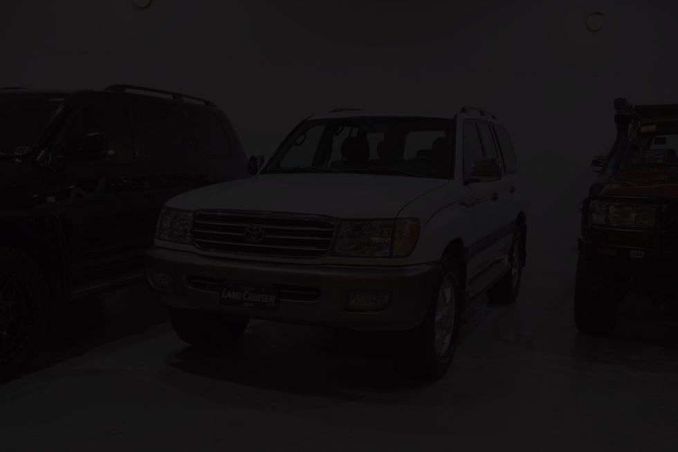 LC 100 dim.jpg