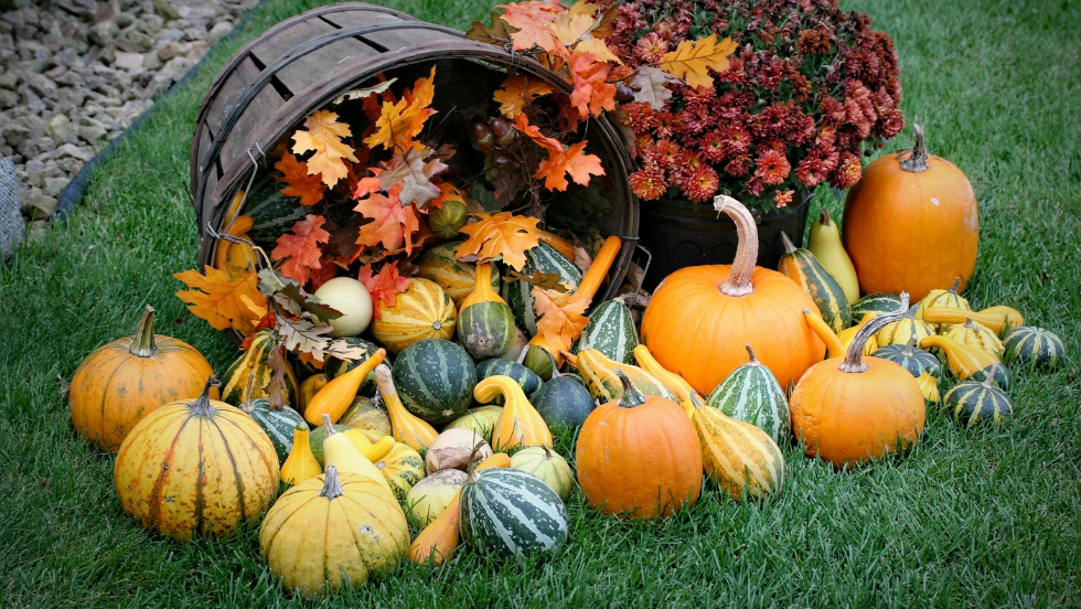 Annual Gourd Festival