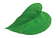 NP_heart_green_leaf-web.png