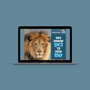 עיצובים לקוד המנצח