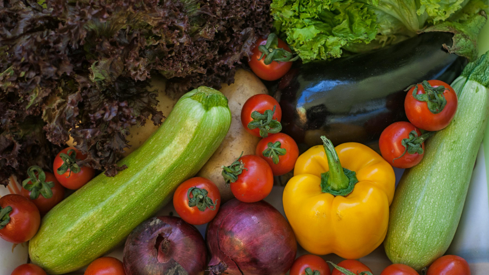 West Bench Farmers Market