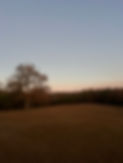 IMG_3818.jpeg