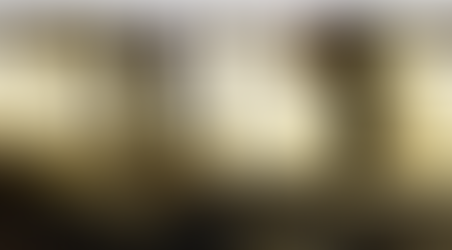 Akiba Cart Japan Mini Tour That Two