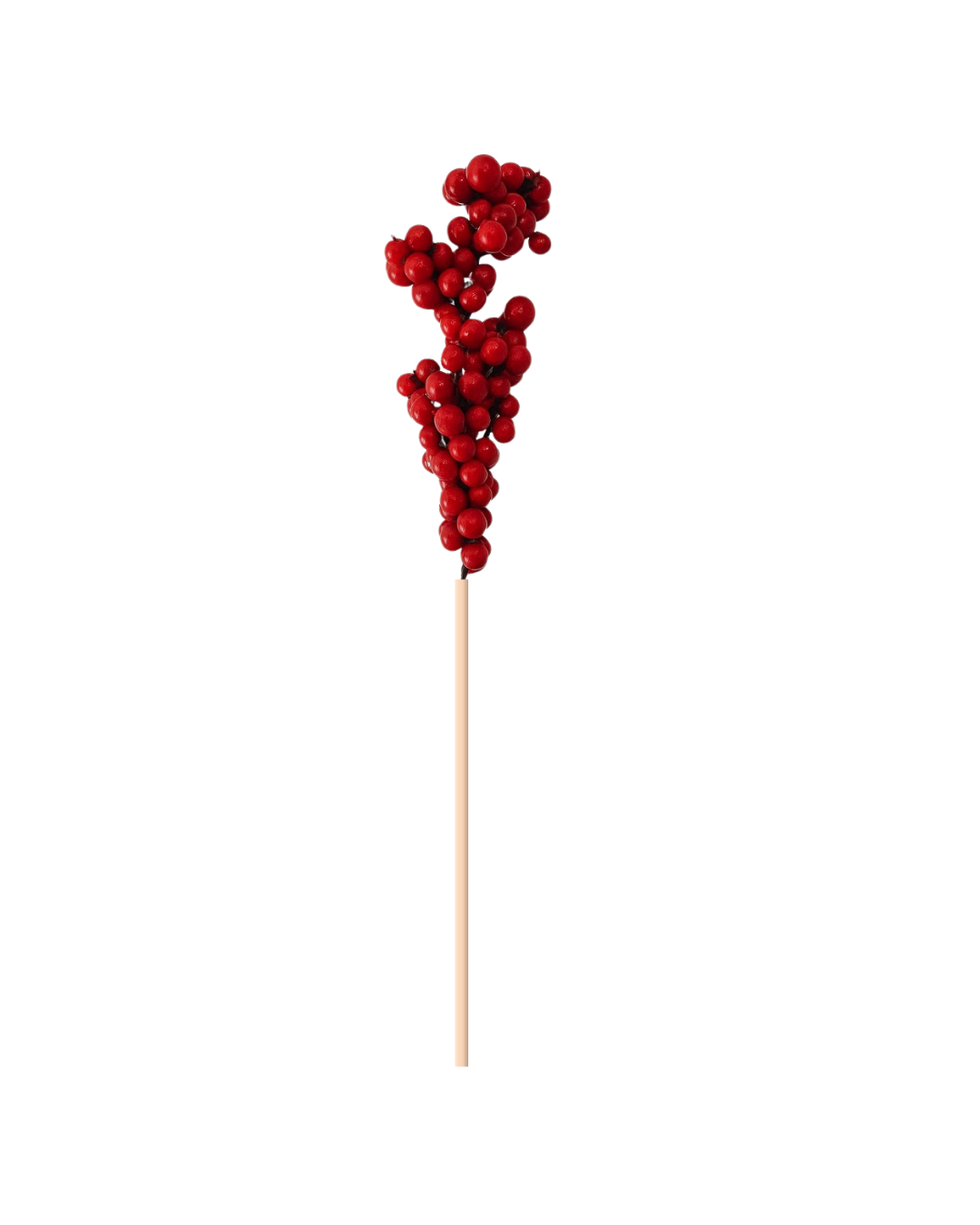 3D BERRY BRANCH