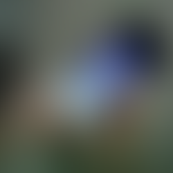 Inteligencia Artificial en 2026