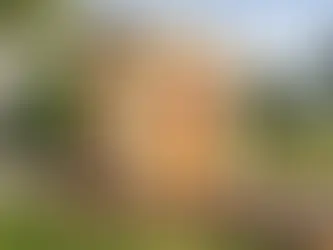 Relax Anytime, Anywhere Exploring the SaunaBox