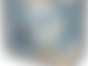 Premium to Budget Top 3 Online Hair Dryer Stores