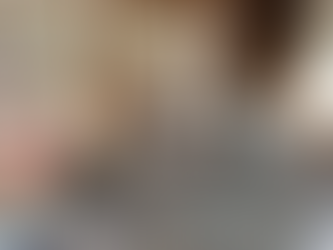 猫カフェになりました！