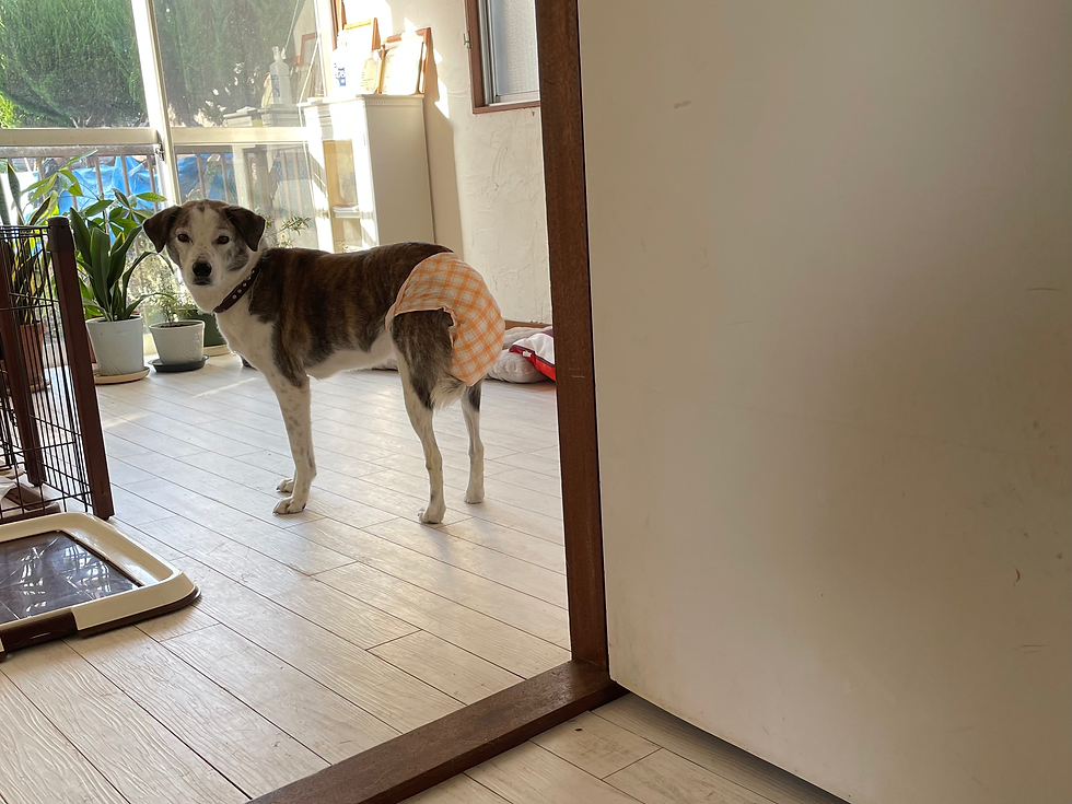 穏やかに過ごしてくれました♡