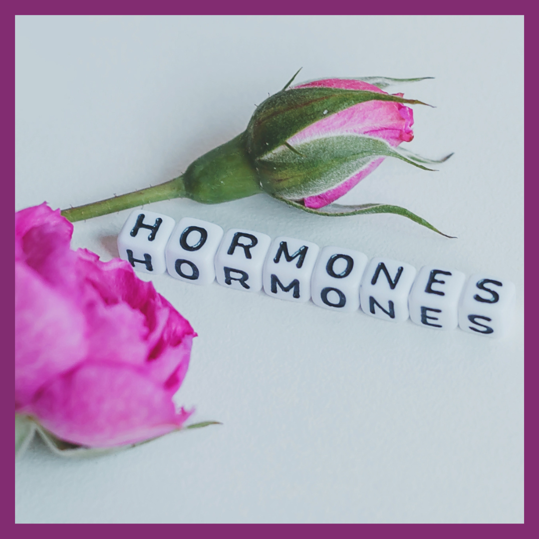 BOX HORMONES ET ORGANES GENITAUX