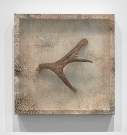 Remnant (Moose Antler III)