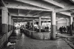 Dans l'est de l'Algérie...