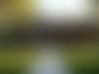 Top Advantages of Custom Home Design Services