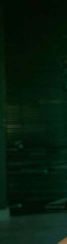 banner-Orlando2_edited.jpg