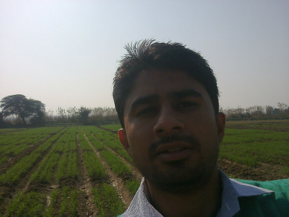 photo0355 (79)