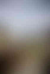 Pagoda Yasaka - Templo Hokanji