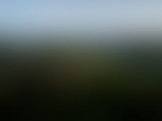 Bohol, la Isla de los Tesoros Naturales...