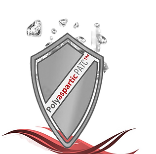 PATC Shield Detailed_edited.png