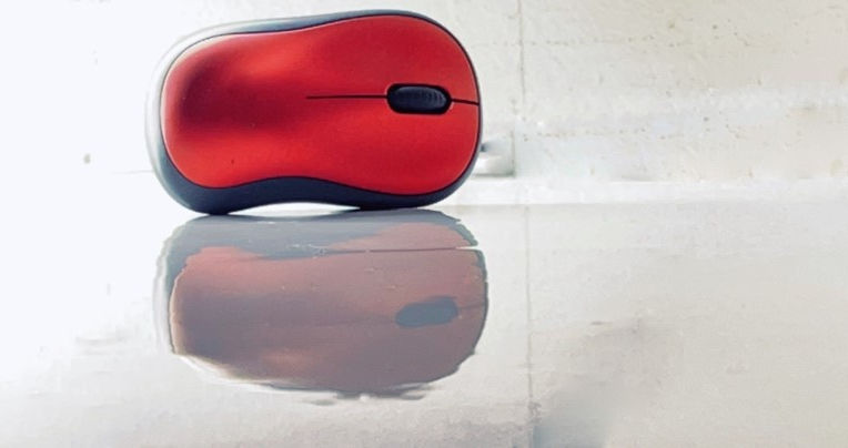 mouse.jpg