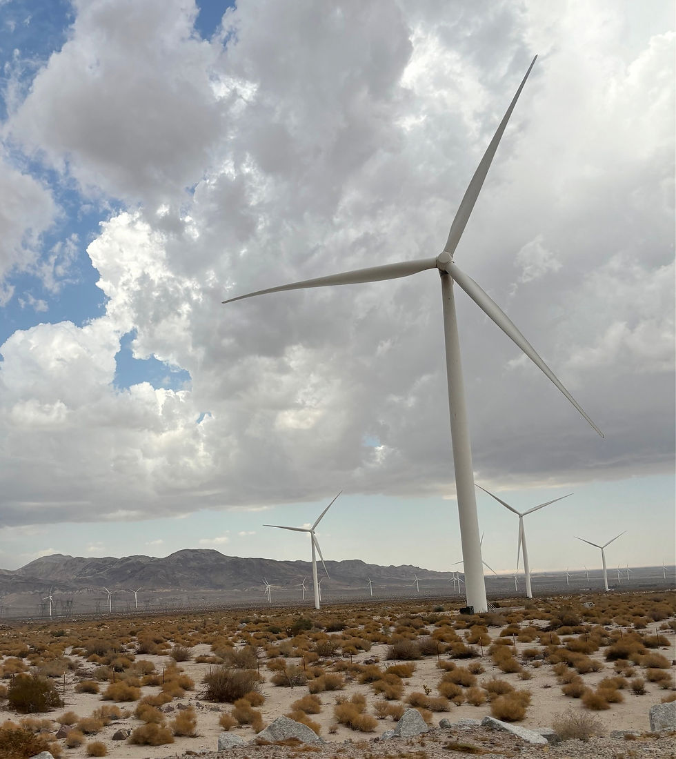 Wind farms dotted the landscape in California