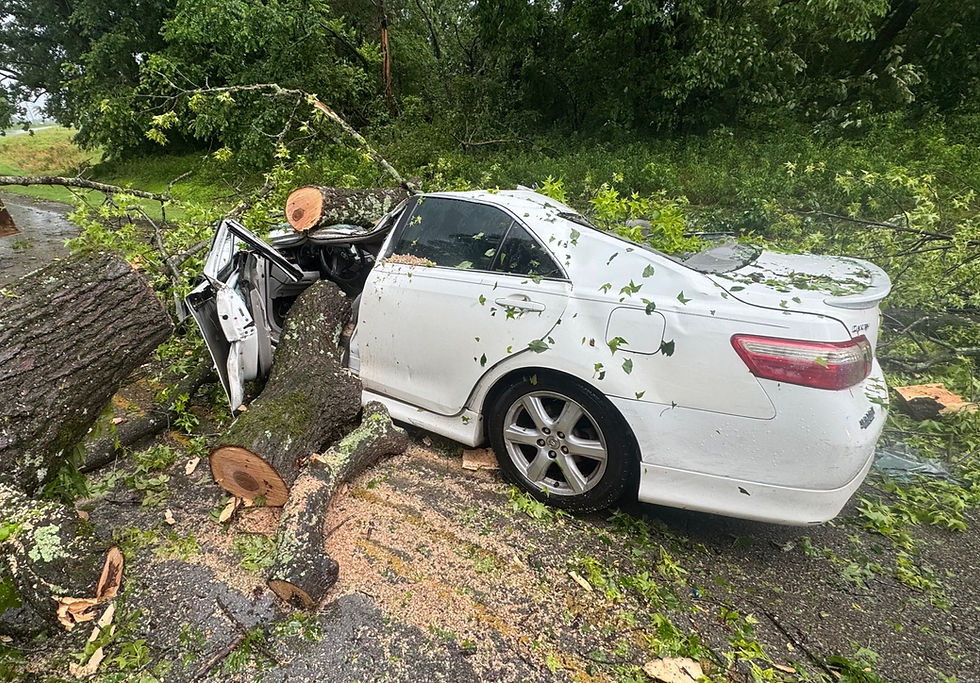 A car crushed by a falling tree during a storm