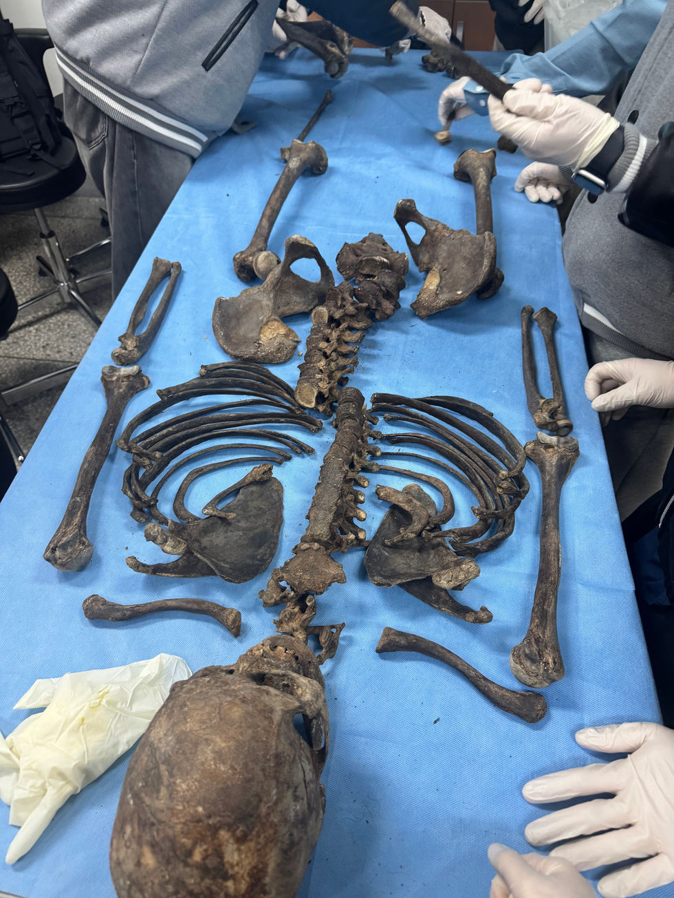 Immersive, Hands-On Learning