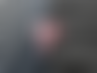 TOITURE DE TÔLE OU DE BARDEAU ; LEQUEL CHOISIR ET POURQUOI?