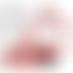 Feliz Natal e um Ano Novo Repleto de Bênçãos