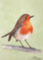The Posing Robin (21 x 15 cm)