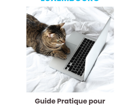 Guide d'Urgences Vétérinaires pour les Propriétaires d'Animaux au Luxembourg
