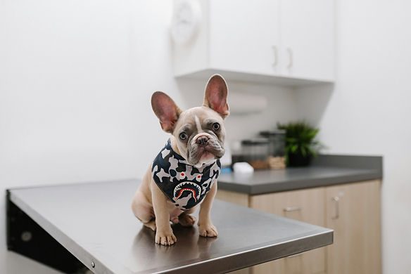karsten-winegeart-loJL4ijUobg-unsplash.jpg