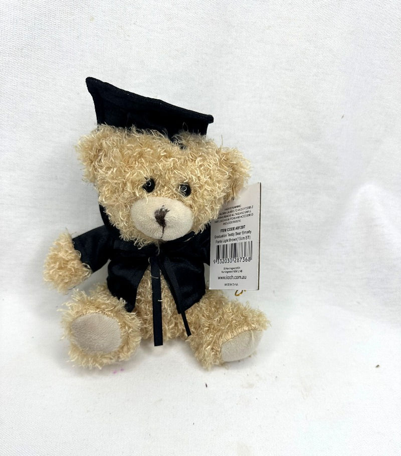 graduation teddy bear smarty pants